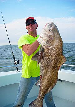 fishing report lewes de|Delaware Charter Boat Fishing Lewes .